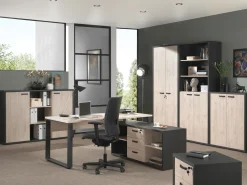 Dressoir Spinoza^Huisenthuis