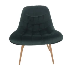 Fauteuil Louis^Huisenthuis Best