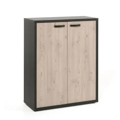 Lage kast Spinoza^Huisenthuis